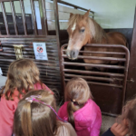 Dziewczynki patrzące na konia